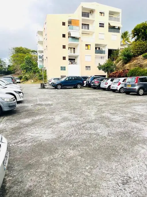 Apartmán T2 Avec Parking - Entierement Climatise - Chez Elo Schoelcher